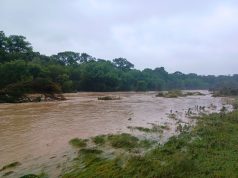 Tragedy at Camp Mystic — Legal Implications of the July 4 2025 Flood and Emerging Wrongful-Death Claims