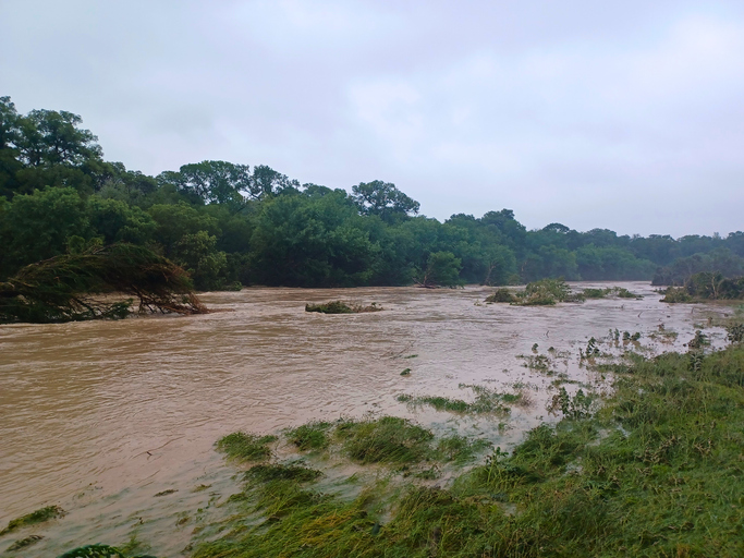 Tragedy at Camp Mystic — Legal Implications of the July 4 2025 Flood and Emerging Wrongful-Death Claims